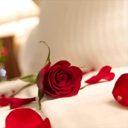 Stay minimum 2 nights, get special package for honeymoon couples, FRUIT + WINE - ROOM UPGRADE VIP treats<br />
