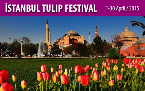 İstanbul’ da Lale Zamanı – Lale Festivali